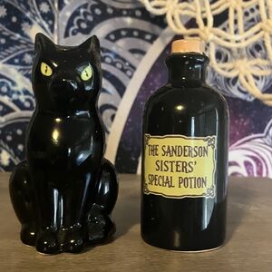 Rare Disney’s Hocus Pocus The Sanderson Sister’s 🧙 🐈‍⬛ Salt & Pepper Shakers